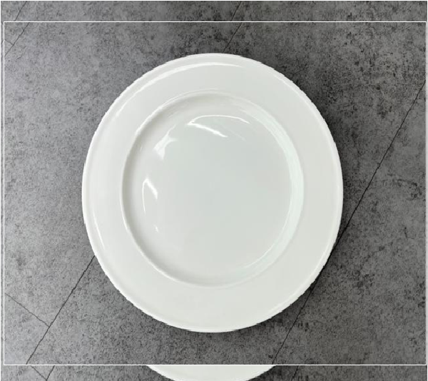 8"dinner plate BW20-29